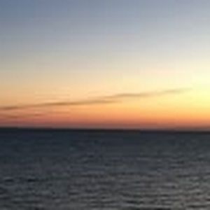 Meet your Posher, Lily